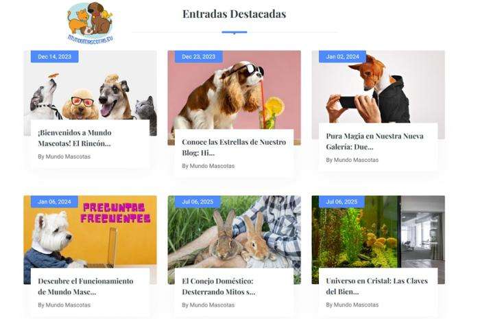 Mundo Mascotas: Anatomía de un Ecosistema Digital Triunfante